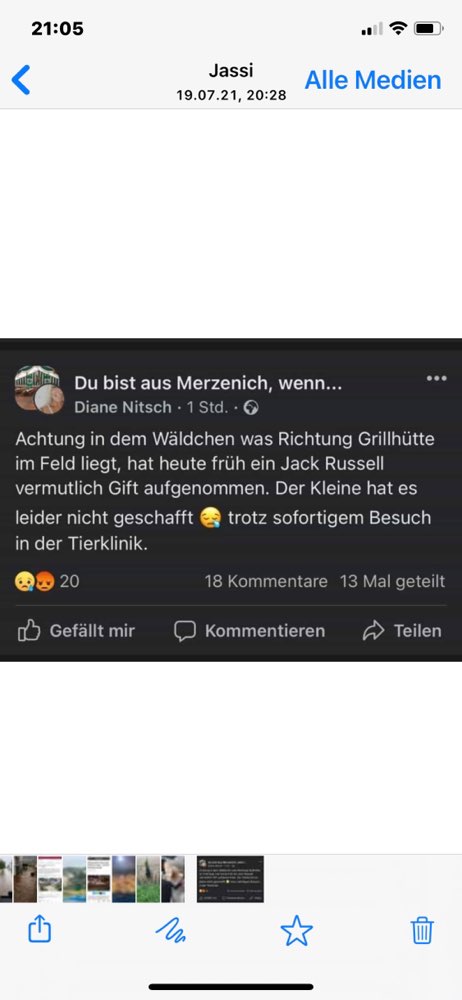 Giftköder-Verdacht auf Giftköder - Drei Hunde betroffen-Profilbild