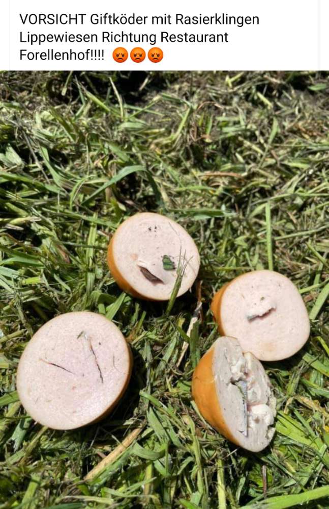 Giftköder-Köder - Wurststückchen mit Rasierklinge-Profilbild