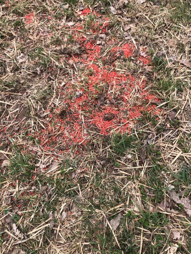 Giftköder-Achtung Rattengift-Profilbild