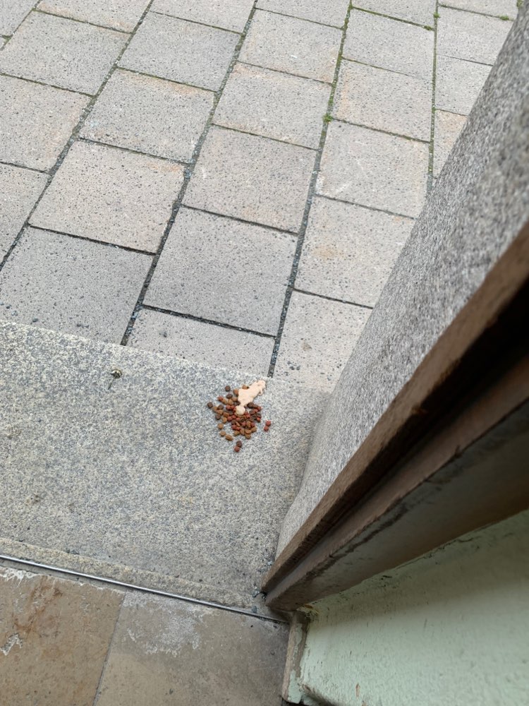 Giftköder-Schon wieder Giftköder!-Profilbild