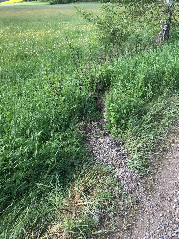 Giftköder-Knochenreste-Profilbild