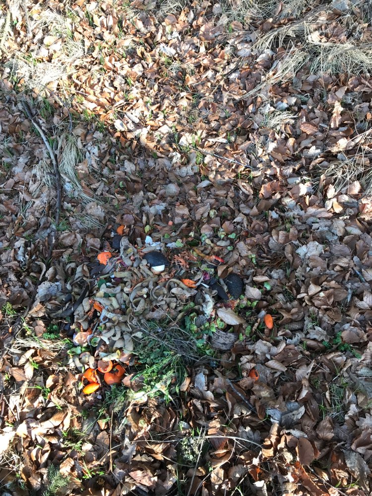 Giftköder-Biomüll-Profilbild