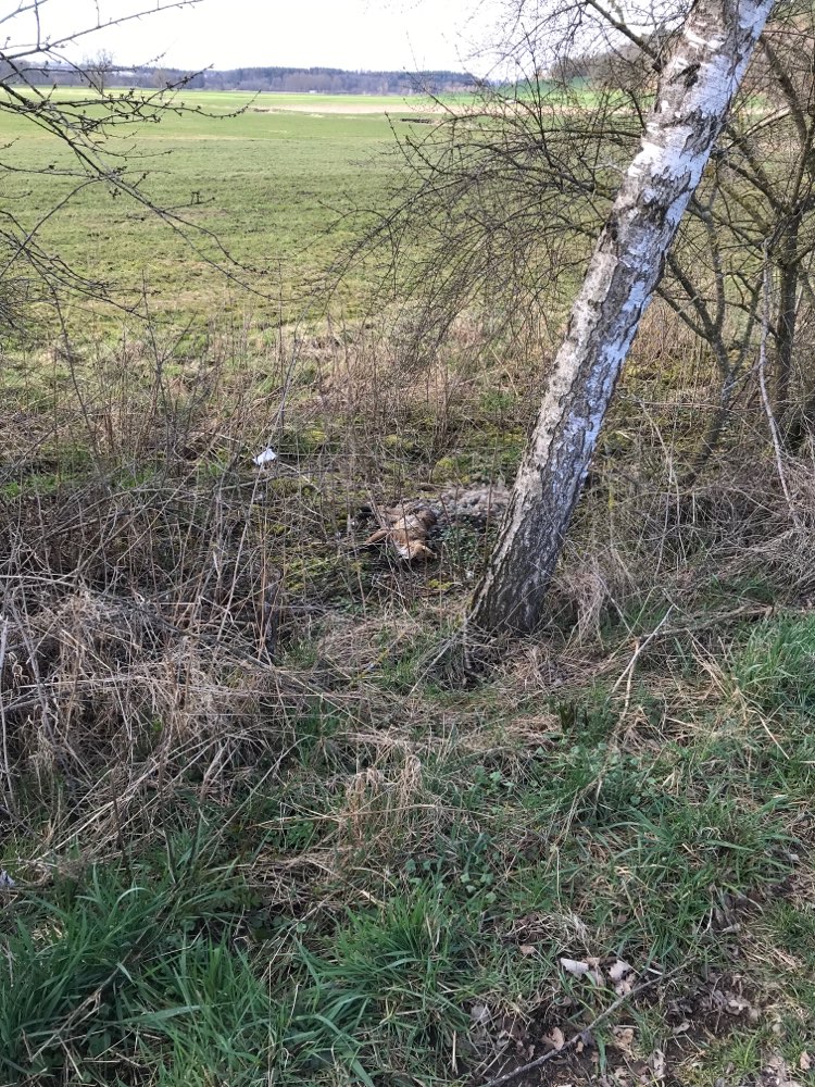 Giftköder-Totes Tier-Profilbild