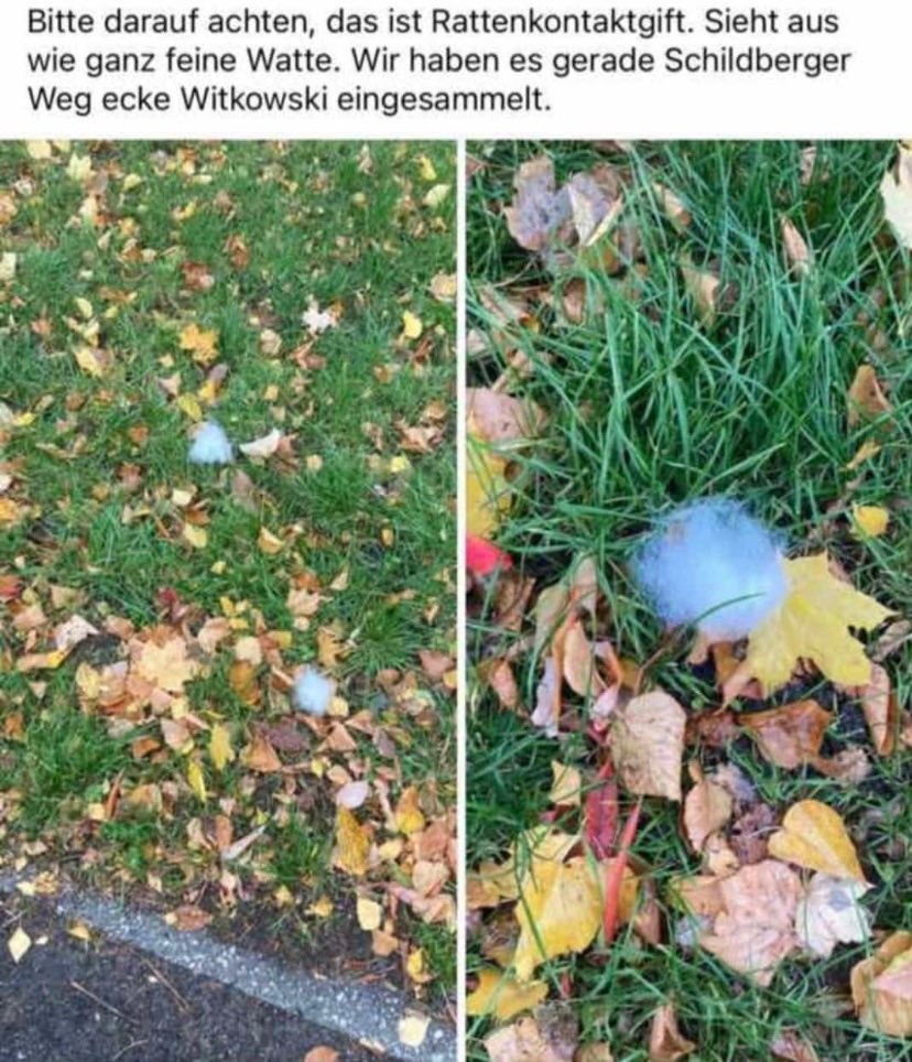 Giftköder-Rattengift-Profilbild