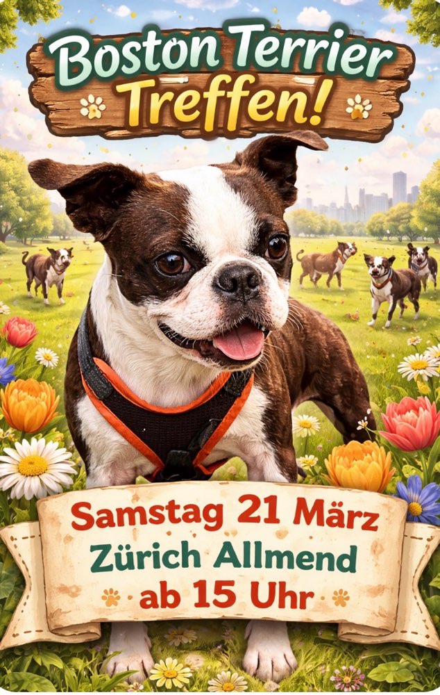 Hundetreffen-Bosten Terrier Treffen-Profilbild