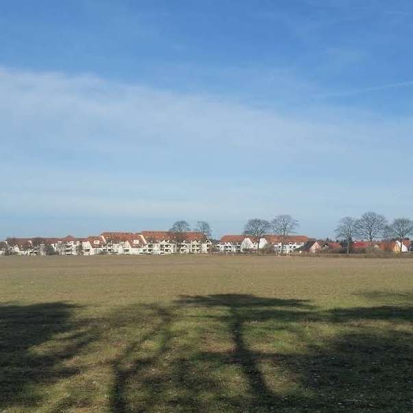 Hundetreffen-Sozialisierungsspaziergang KW und Umgebung-Profilbild