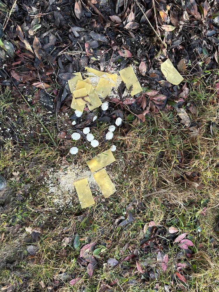 Giftköder-Möglicher Giftköder-Profilbild