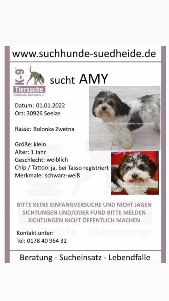 Suchmeldung-Amy-Profilbild