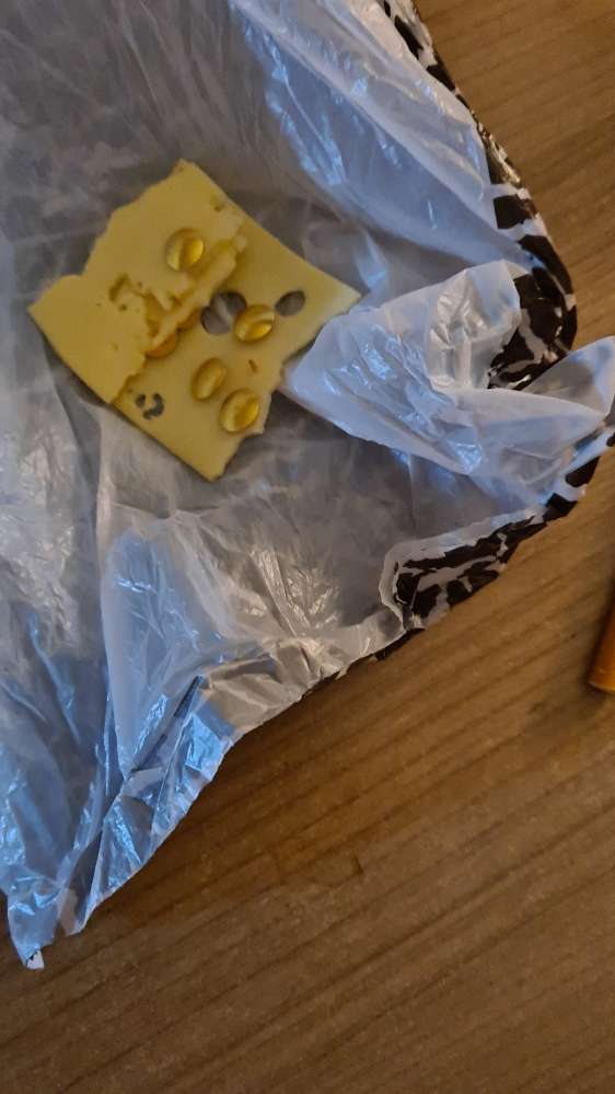 Giftköder-Käse mit reisnadeln-Profilbild