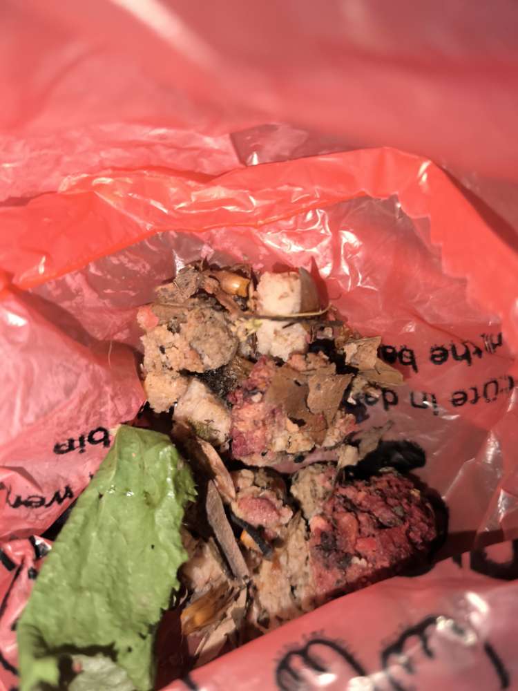 Giftköder-Möglicher Giftköder?!-Profilbild
