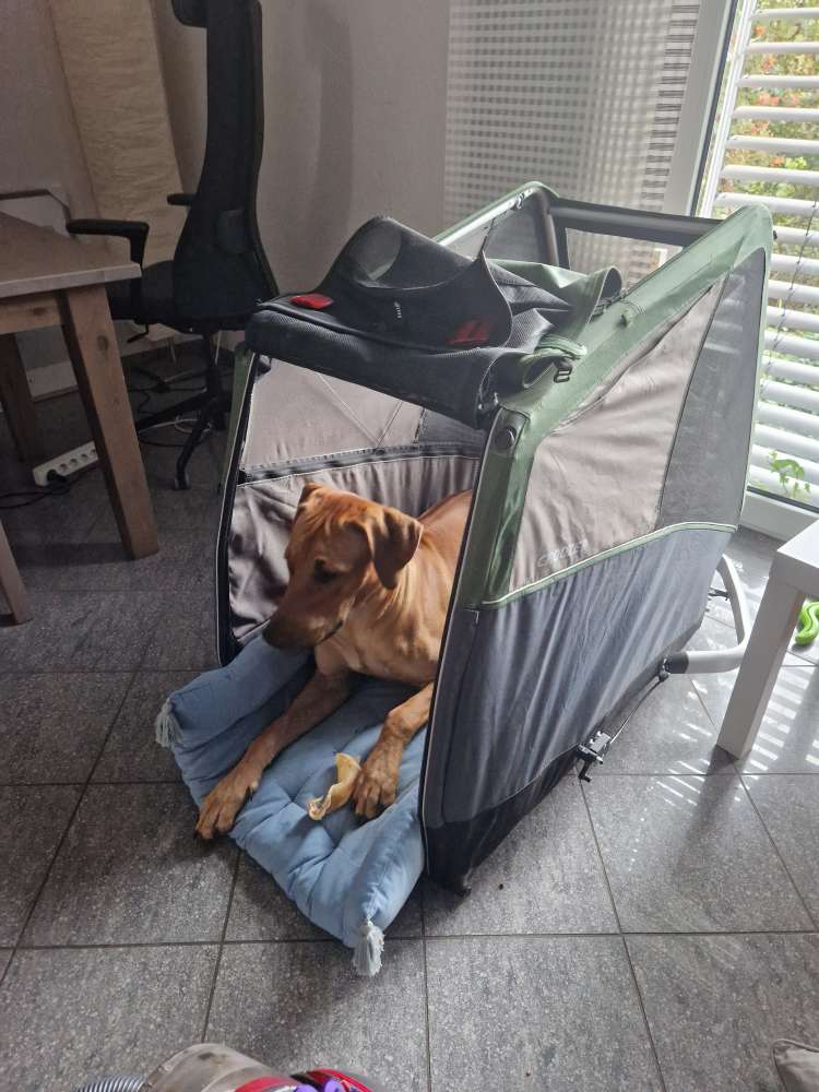 Hundetreffen-Freudenberger Kollegen, wo seid ihr?-Profilbild