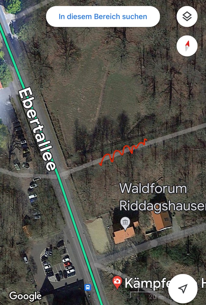 Giftköder-Reis mit Fleischstücken-Profilbild