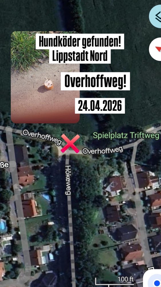 Giftköder-Giftköder-Profilbild