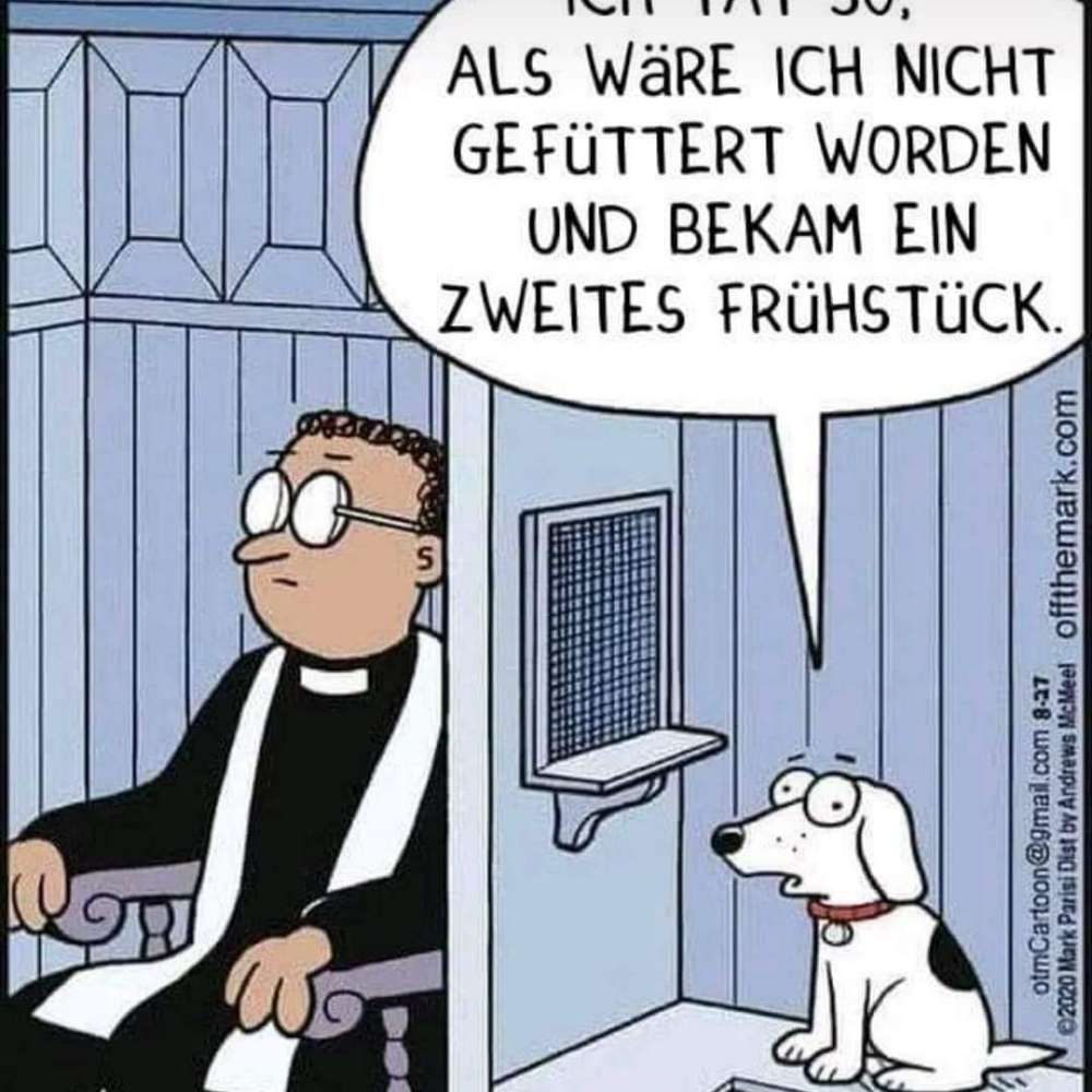 Hundetreffen-Welpenspiel- und Gassirunde-Profilbild