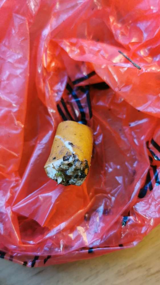 Giftköder-Würstchen mit grünlicher Füllung-Profilbild