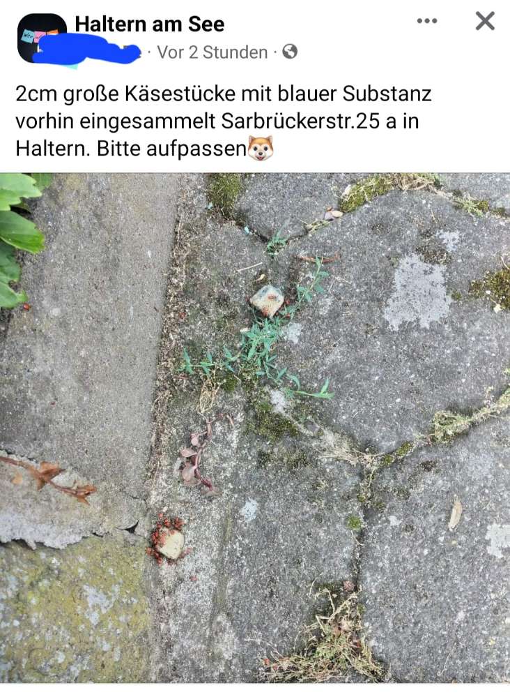 Giftköder-evtl. Giftköder aus Käse-Profilbild