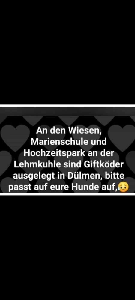 Giftköder-Giftköder-Profilbild