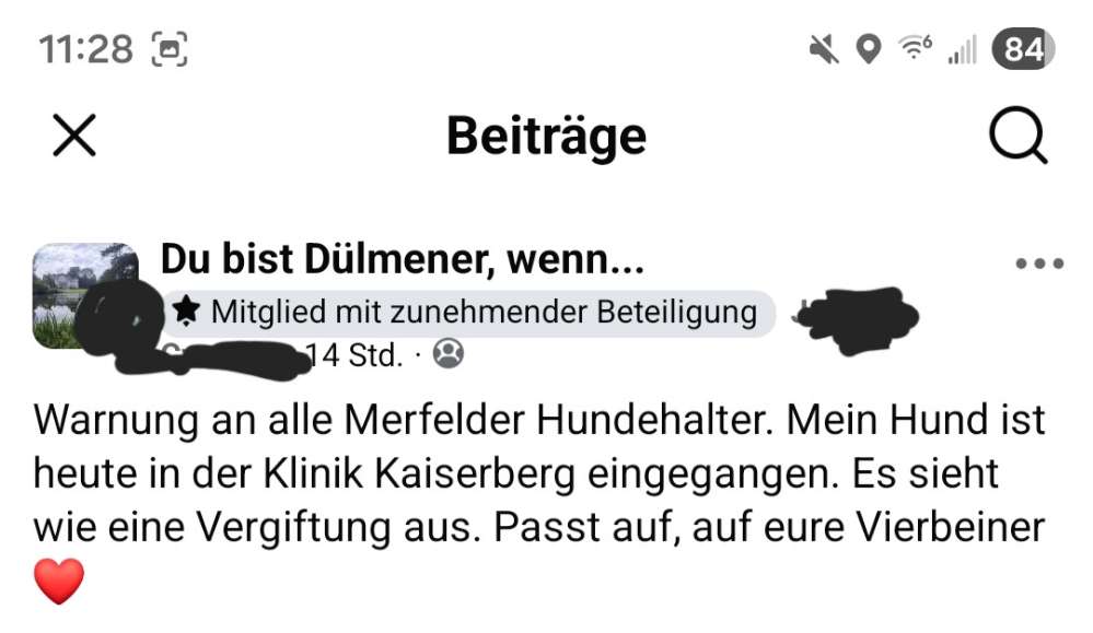 Giftköder-Mögliche Vergiftung durch Giftköder-Profilbild