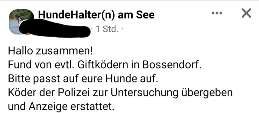 Giftköder-Evtl. Giftköder-Profilbild