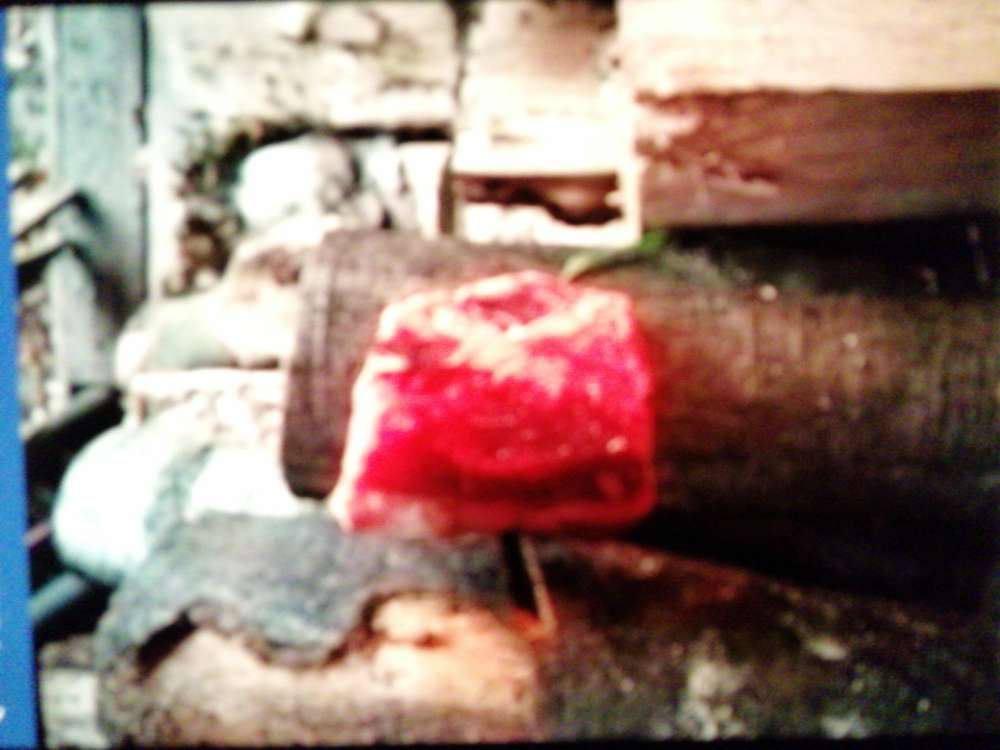 Giftköder-Giftköder-Profilbild