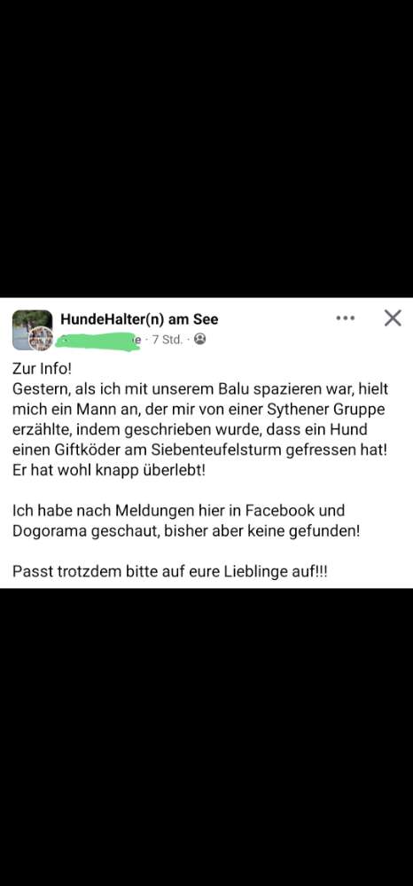 Giftköder-Gift-Profilbild