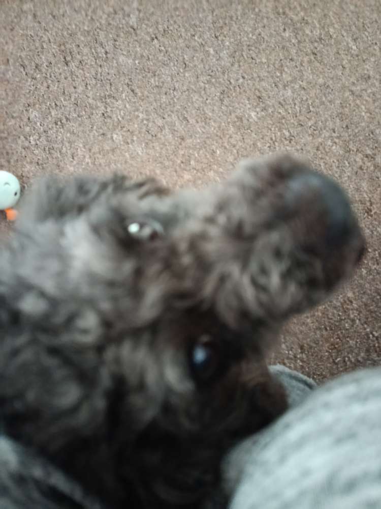 always by my side Banner