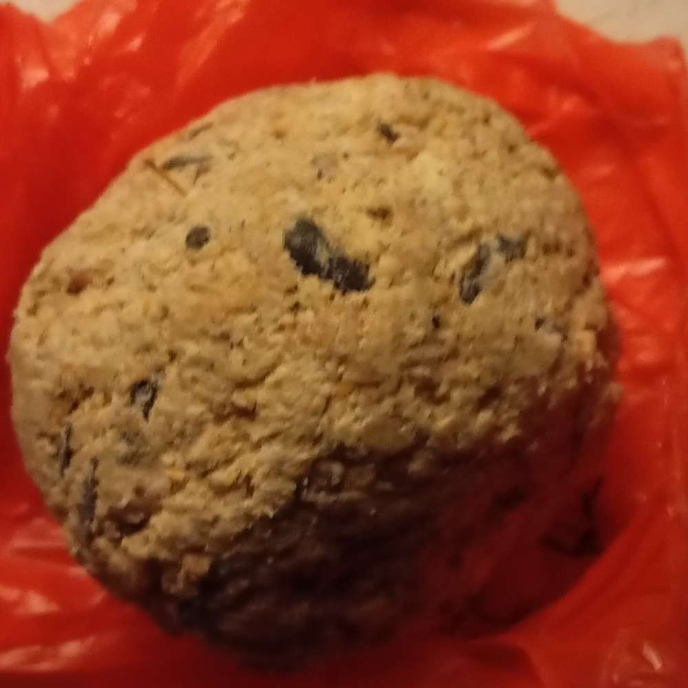 Giftköder-Möglicher Giftköder-Profilbild