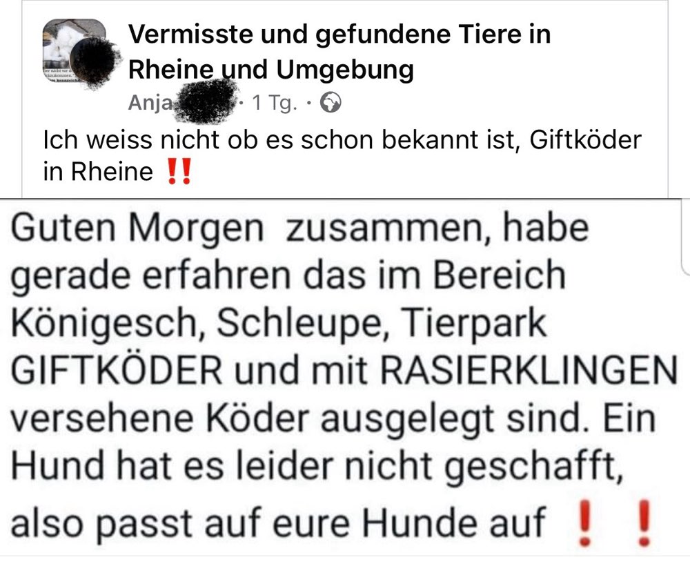 Giftköder-Giftköder mit Rasierklingen-Profilbild