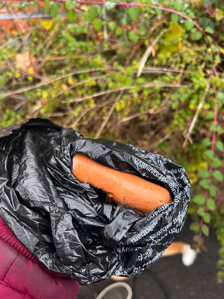 Giftköder-Evtl Giftköder-Profilbild