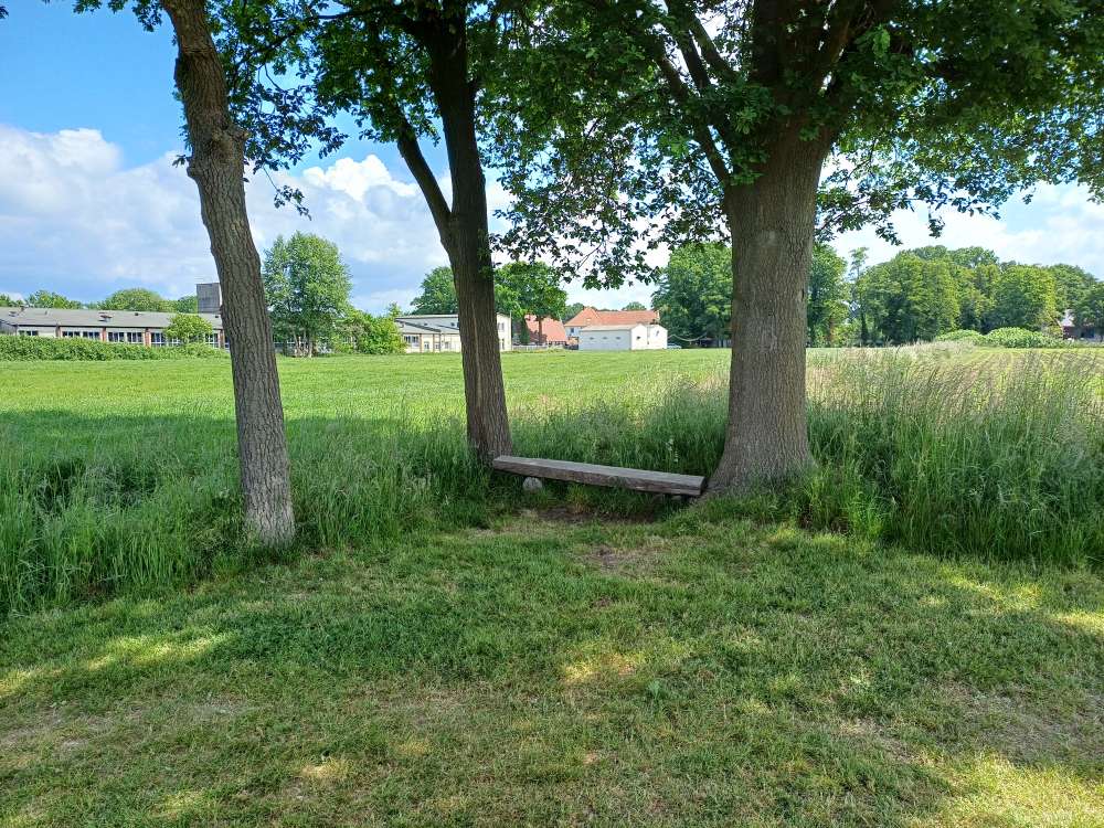 Giftköder-Eichenprozessionsspinner-Profilbild