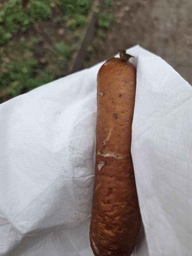 Giftköder-Giftköder-Profilbild