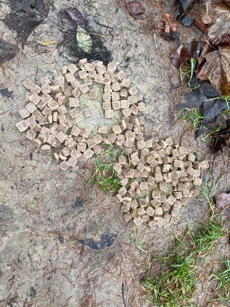 Giftköder-Evtl. Giftköder-Profilbild