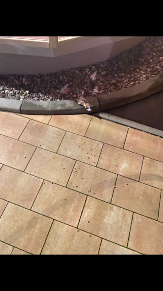 Giftköder-Schinkenwürfel mit Rasierklingen-Profilbild