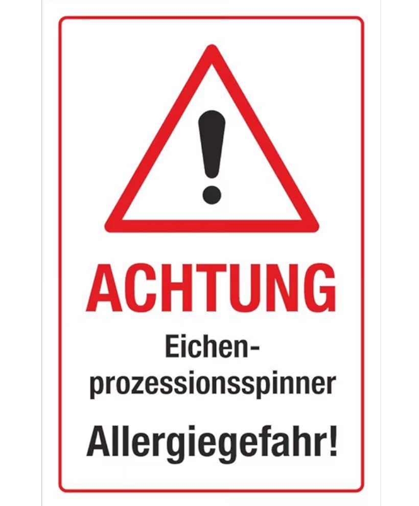 Giftköder-Eichen-Prozessionsspinner!!-Profilbild