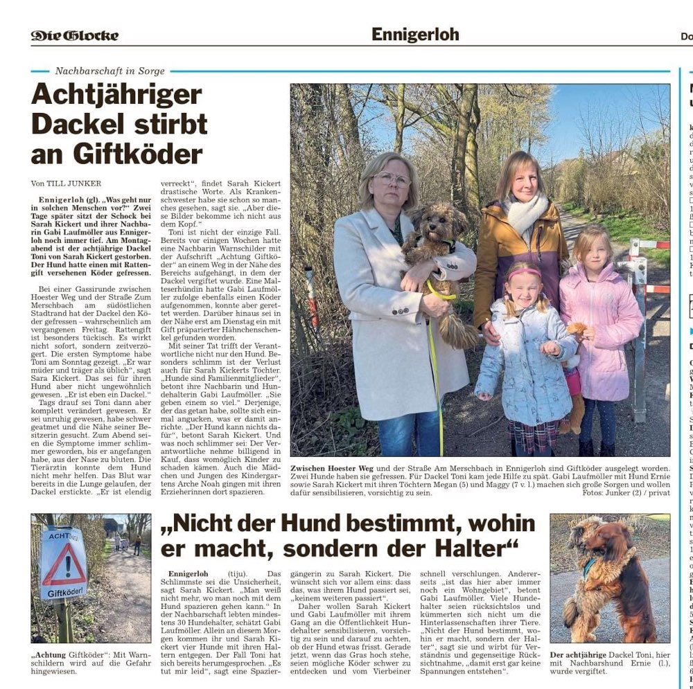 Giftköder-Vergifteter Dackel-Profilbild