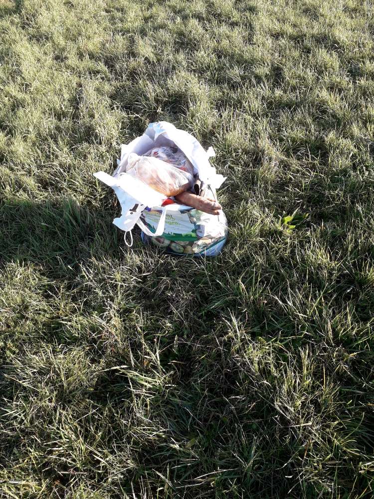 Giftköder-Teile von Tierkadaver in Mülltüte-Profilbild