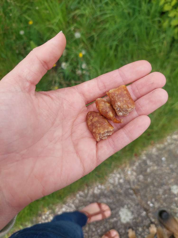 Giftköder-Sausage pieces on path-Profilbild