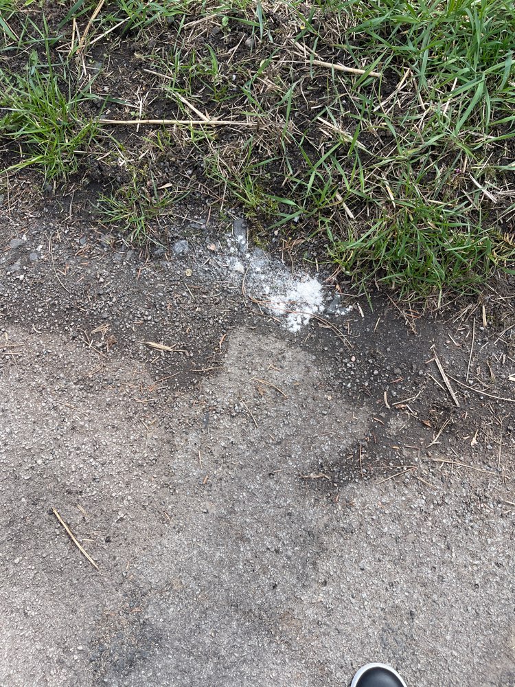 Giftköder-Weiße Pulver !!!-Profilbild