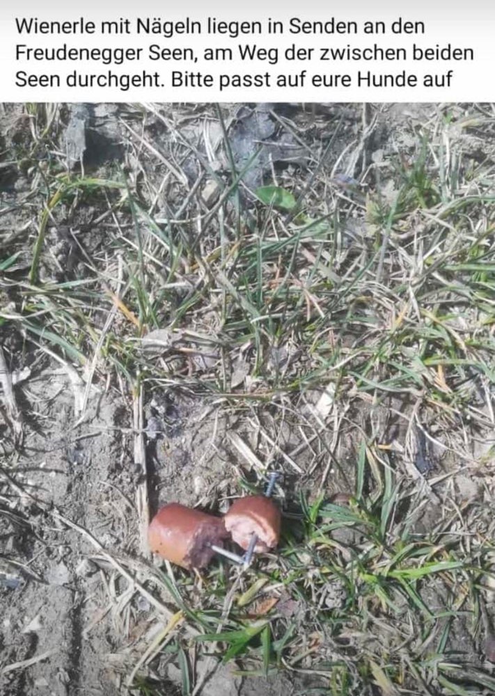 Giftköder-Tötliche Gefahr-Profilbild