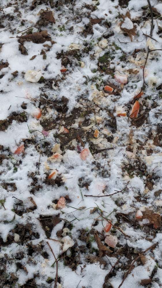 Giftköder-Möglicher Giftköder-Profilbild