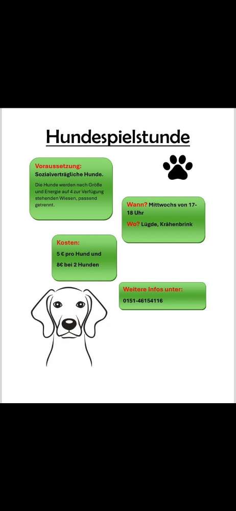 Hundetreffen-Hundespielen-Profilbild