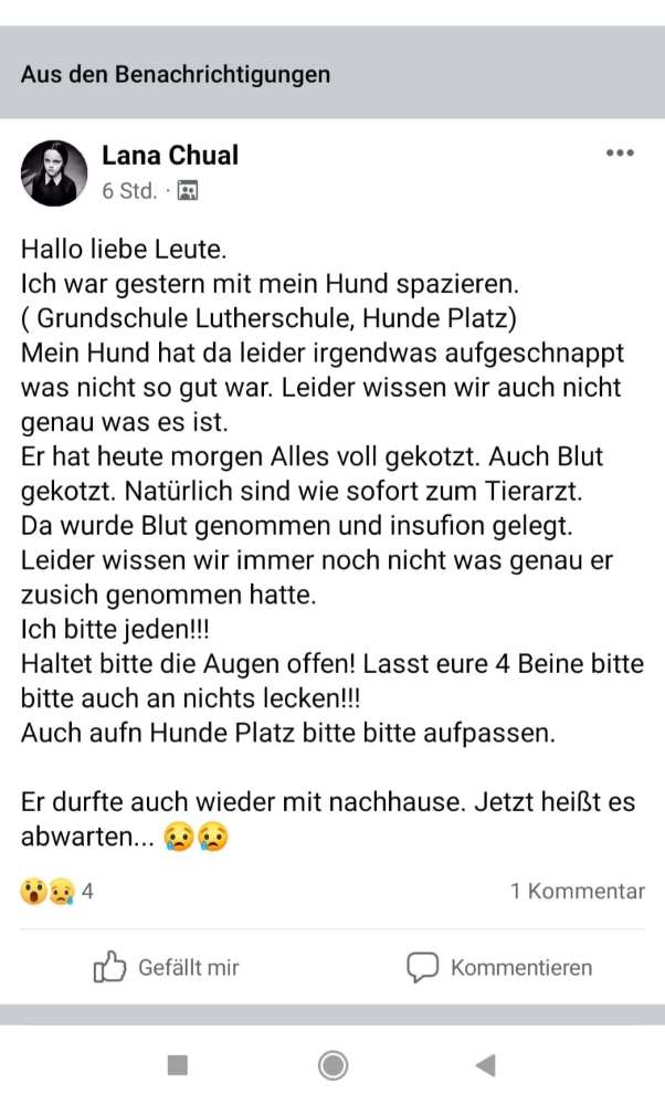 Giftköder-Vermutlich Giftköder-Profilbild