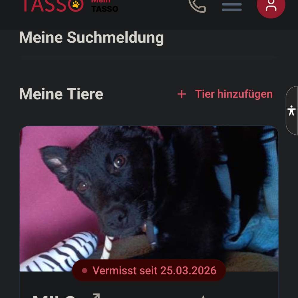 Suchmeldung-Milo-Profilbild