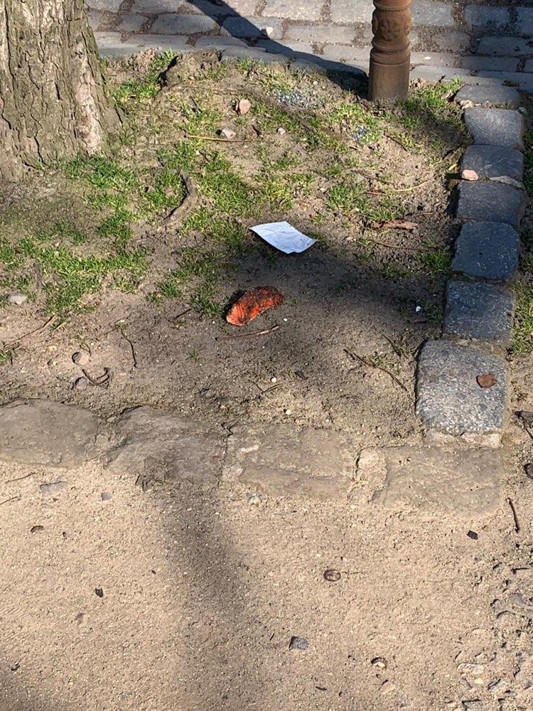 Giftköder-Lachs mit Glasscherben-Profilbild