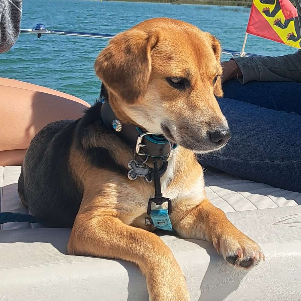 Suchmeldung-Ria-Profilbild