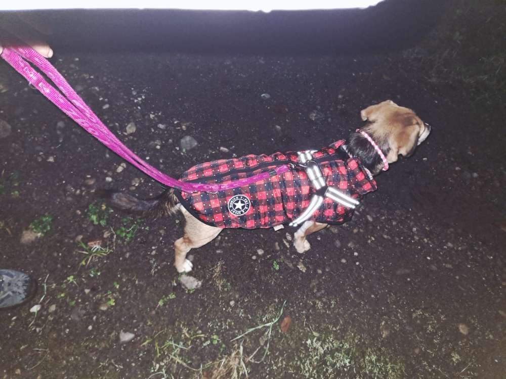 Suchmeldung-Ria-Profilbild