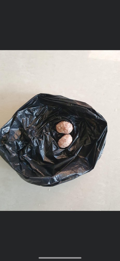 Giftköder-Giftköder-Profilbild