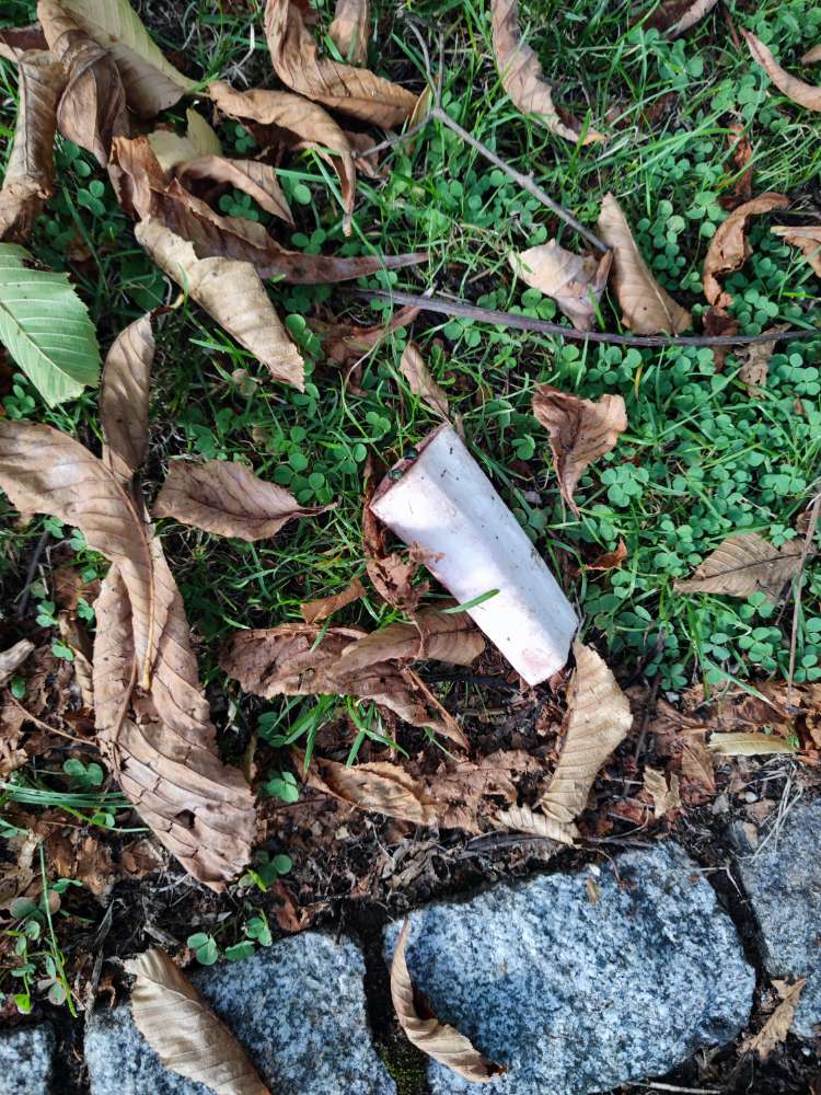 Giftköder-Rohe Knochen in Bogenhausen-Profilbild