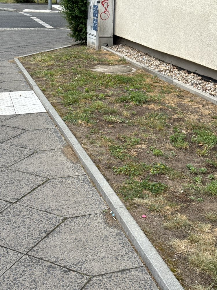 Giftköder-Ameisengift am Randstein-Profilbild