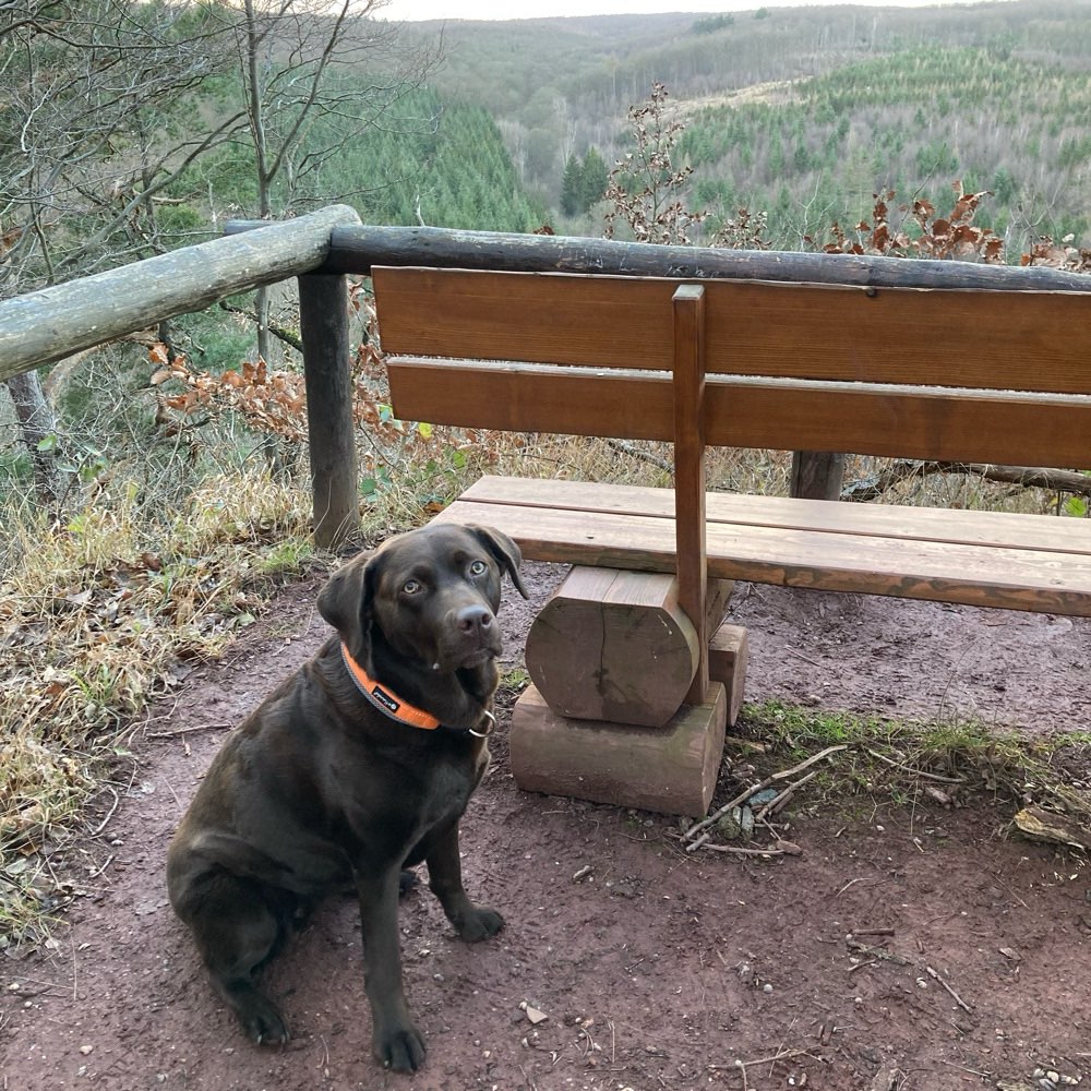 Das erste Bild 2025 Banner